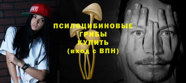 дживик Кулебаки