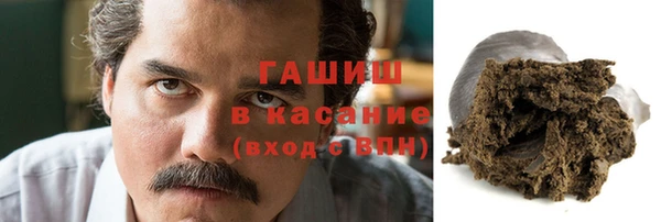 прущие грибы Краснослободск