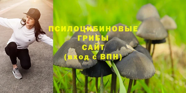PSILOCYBIN Красноперекопск