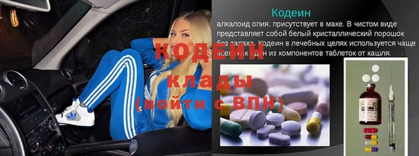 дмт Ладушкин