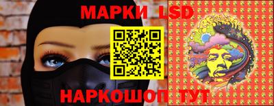 spice Гатчина