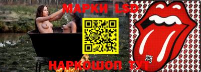 spice Гатчина