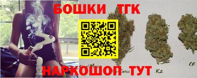 spice Гатчина