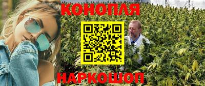 гидропоника Гагарин