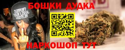 spice Гатчина