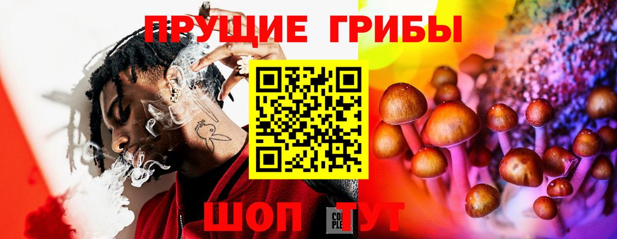 Псилоцибиновые грибы мицелий  Вход с VPN  где найти наркотики  Костомукша 